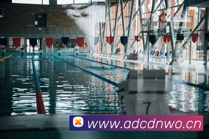 乐竞官方网站平台生态图